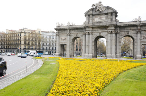 Madrid and Barcelona